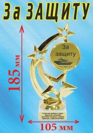 Кубок подарочный Звезда " За защиту ".
